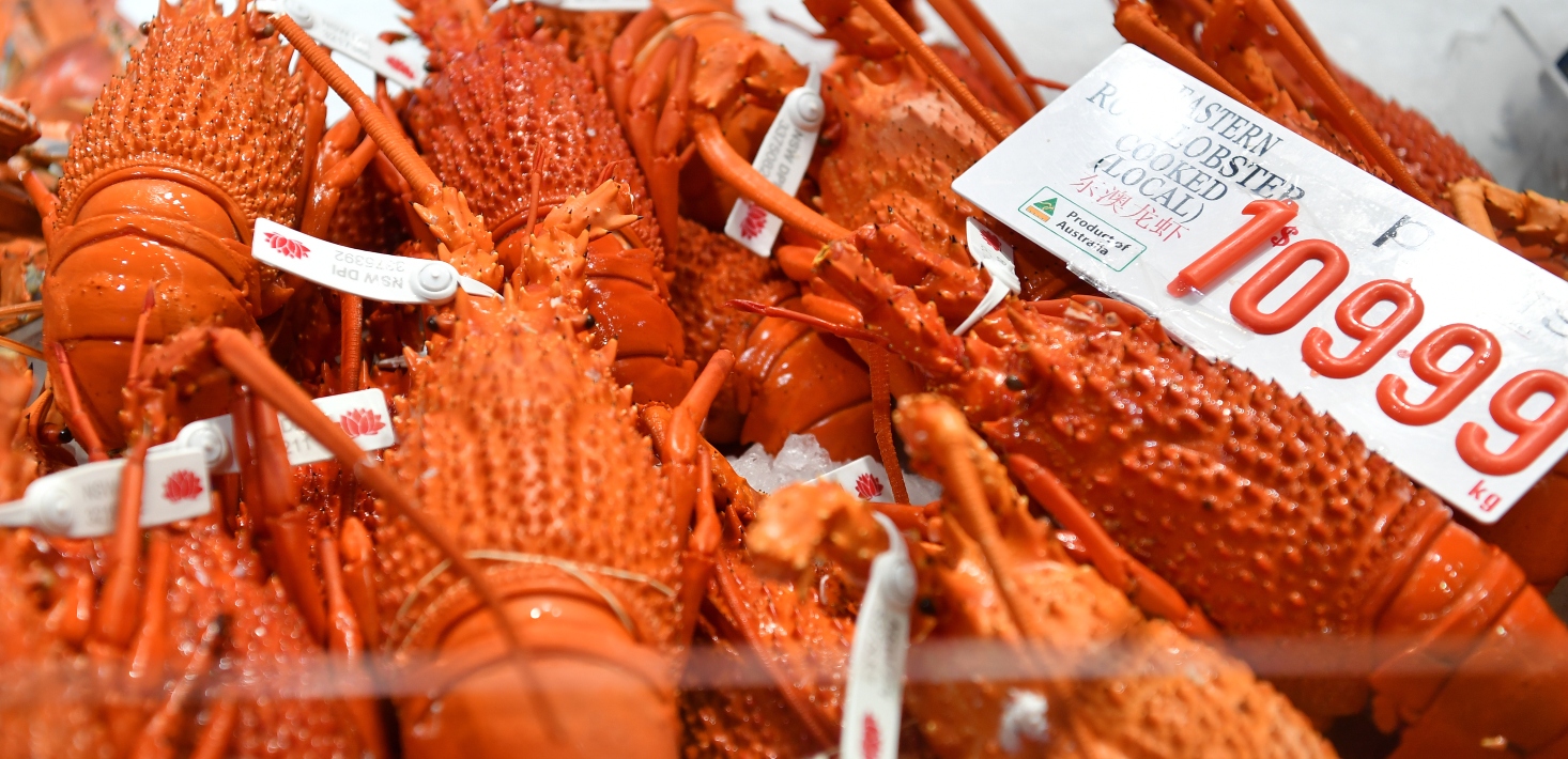 “Major win”: Australian government pledges to help lobster exporters get the best price as China drops trade ban